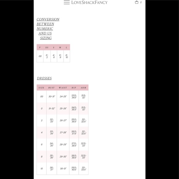 NWOT LOVESHACKFANCY SCARLETT SMOKE SILK MINI DRESS - Picture 11 of 11